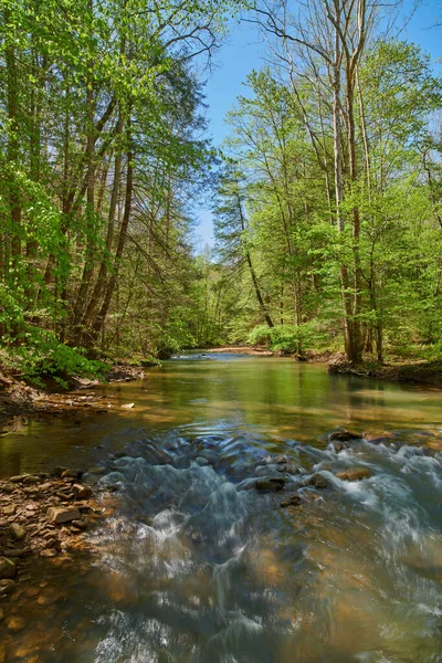 Kleine Stroomversnellingen War Creek Oost Kentucky — Stockfoto