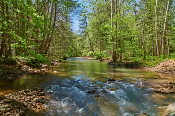 Piccole Rapide Sul Torrente Guerra Nel Kentucky Orientale — Foto Stock