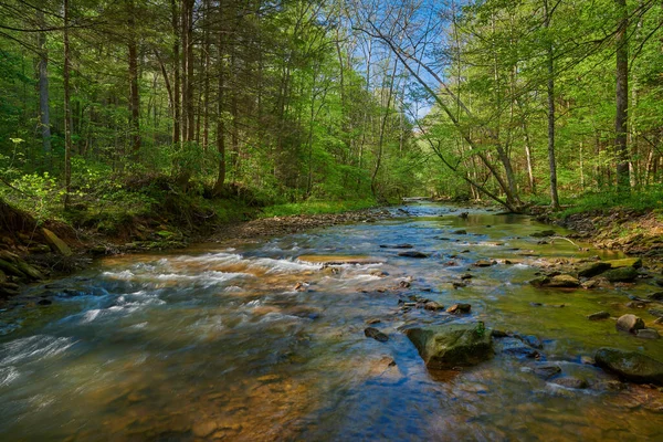 Flowing War Creek Este Kentucky — Foto de Stock
