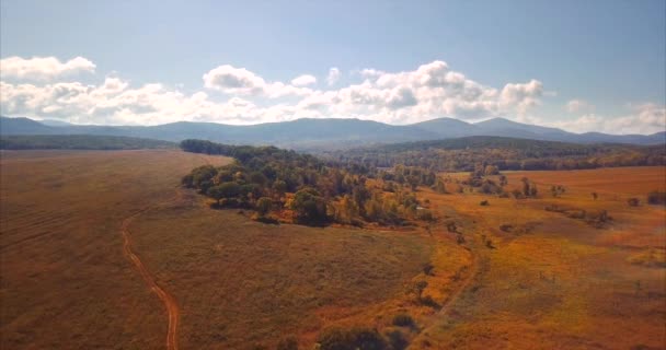 Vue aérienne des champs et forêts d'automne, beau paysage. Russie — Video