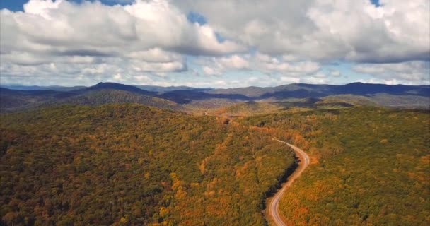 Vliegen boven de weg loopt tussen bossen, heuvels en bergen. Rusland. Luchtfoto — Stockvideo