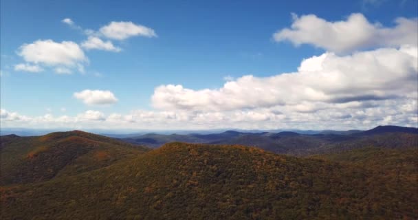 丘と緑の森に覆われた山々 の素晴らしい空撮。ロシア — ストック動画