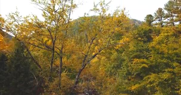 Luchtfoto van heuvels en bergen bedekt met bossen. Natuurreservaat in Rusland — Stockvideo