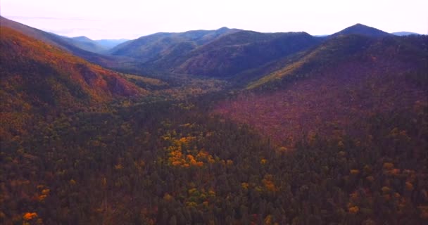 Luftaufnahme des sikhote-alin Naturschutzgebietes Berge mit Wald bedeckt. Russland — Stockvideo