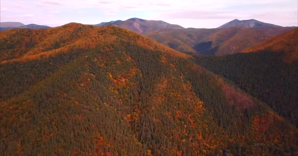 シホテ ・ アリン自然保護区山の空撮は森林で覆われています。ロシア — ストック動画