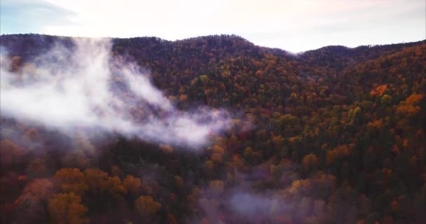 Veduta aerea delle montagne Riserva Naturale coperte di foresta e nebbia. Russia — Video Stock