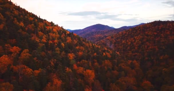Aerial view of Sikhote-Alin Nature Reserve mountains covered with forest. Russia — Stock Video