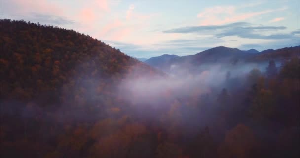 Flug durch Nebel, Luftaufnahme des sikhote-alin Naturschutzgebietes. Russland — Stockvideo