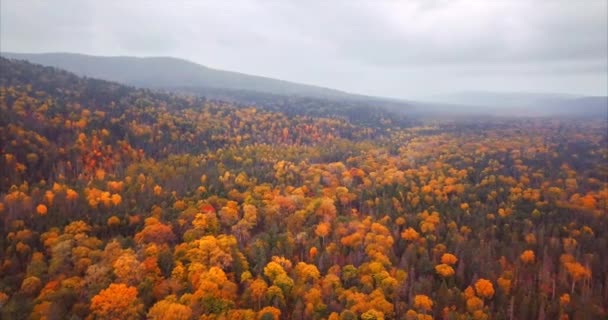 Vista aérea de las montañas de la Reserva Natural de Sikhote-Alin cubiertas de bosque. Rusia — Vídeos de Stock