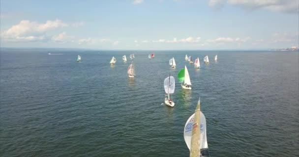 Vliegende bovenstaande jachten deel te nemen aan het Peter de grote Golf Cup Regatta. Rusland — Stockvideo