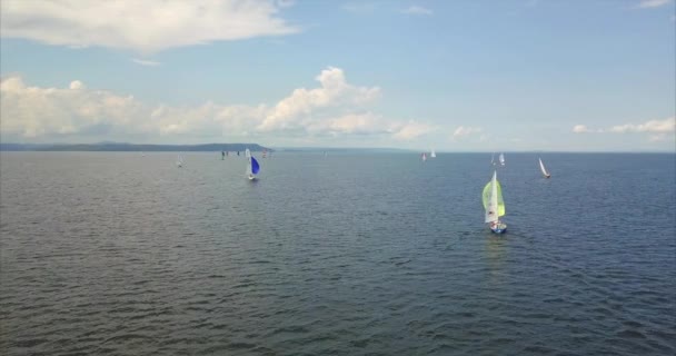 Flying above yachts taking part in the Peter the Great Gulf Cup Regatta. Russia — Stock Video