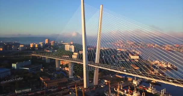 Aerial view the Golden Bridge and veiw of Vladivostok downtown. Russia — Stock Video