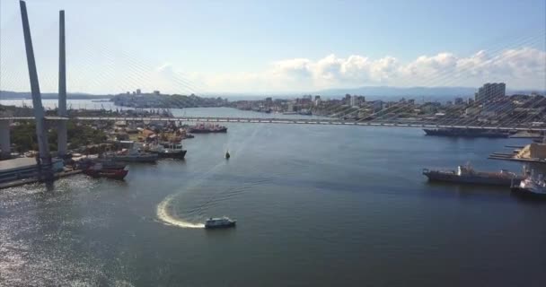 Vista aérea del Puente Dorado y el puerto de Zolotoy Rog. Vladivostok, Rusia — Vídeo de stock