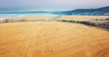 Saman yığınları olan bir alana yukarıdaki ve hava görünümünü uçan. Kırsal sahne. Rusya