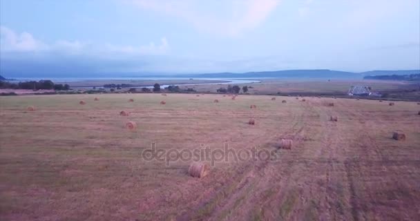 Vliegen boven en luchtfoto weergave van een veld met hooi stapels. Landelijke scène. Rusland — Stockvideo