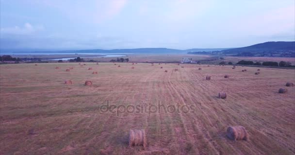 Flygande ovan och antenn bild av ett fält med hö-stackar. Landsbygdens scen. Ryssland — Stockvideo
