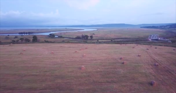 Voando acima e vista aérea de um campo com pilhas de feno. Cena rural. Rússia — Vídeo de Stock