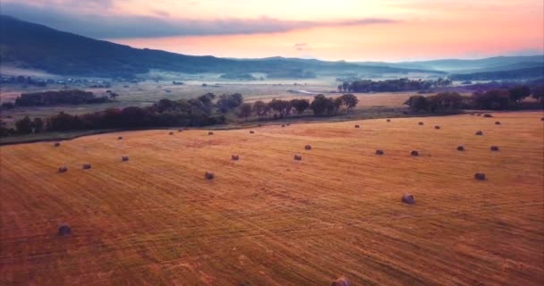 Flying backwards, aerial view of a field with hay stacks. Rural scene. Russia — Stock Video