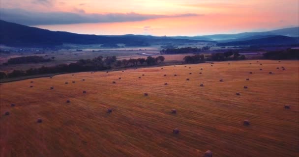 Flying above and aerial view of a field with hay stacks. Rural scene. Russia — Stock Video