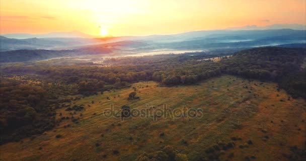 Flying above the green forest, hills covered with fog, red sun going down.Russia — Stock Video