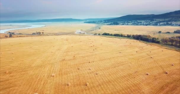 Полет сверху и воздушный вид на поле с стогами сена. Сельская сцена. Россия — стоковое видео