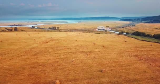 Voando acima e vista aérea de um campo com pilhas de feno. Cena rural. Rússia — Vídeo de Stock