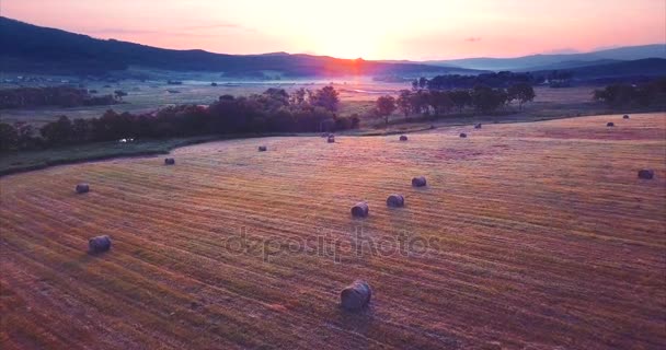 Вид с воздуха на поле с стогами сена. Сельская сцена. Закат. Россия — стоковое видео