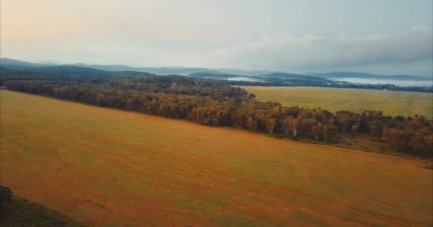 Vista aérea de un campo de rastrojos y bosque verde en el fondo. Rusia — Vídeos de Stock