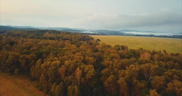 Vista aérea de un campo de rastrojos, volando sobre el bosque verde. Rusia — Vídeos de Stock