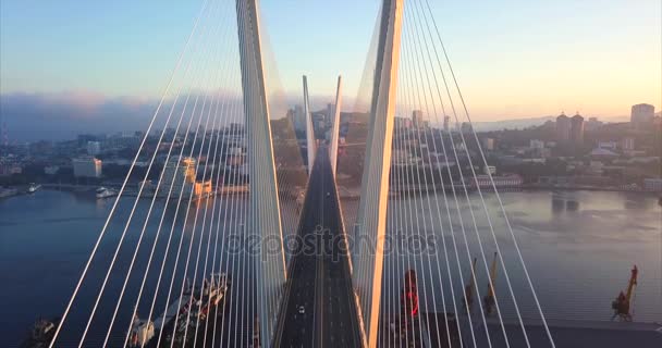 Aflopende boven de weg tussen verblijf kabels van Golden Bridge. Luchtfoto. Rusland — Stockvideo