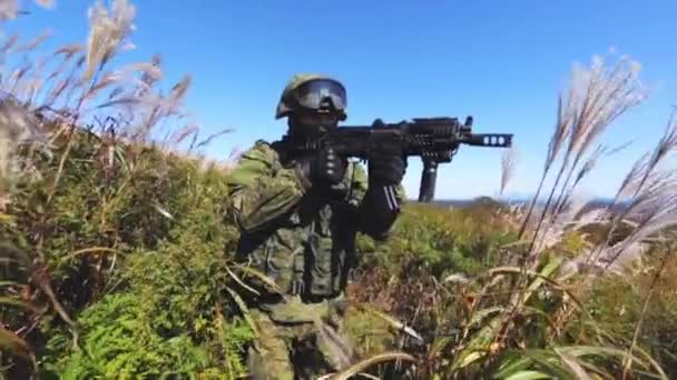 Militar. Soldado de guardia. Buscar y destruir . — Vídeo de stock