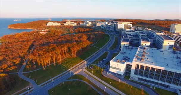 Långt östra Federal University territorium Flygfoto. Japanska havet — Stockvideo