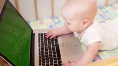 6 aylık bebek yatağının içinde laptop ile oynarken yavaş portresi