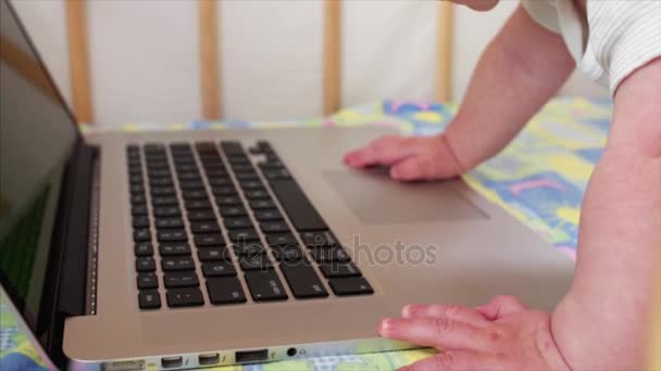 Visão de câmera lenta do teclado do laptop e pequenas mãos de menino de 6 meses nele — Vídeo de Stock