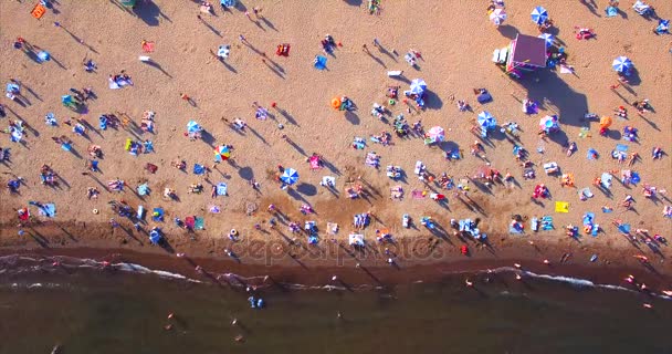 Vladivostok Rusya Ağustos 2017 Vladivostok Yakınlarındaki Adanın Havadan Görünüşü — Stok video