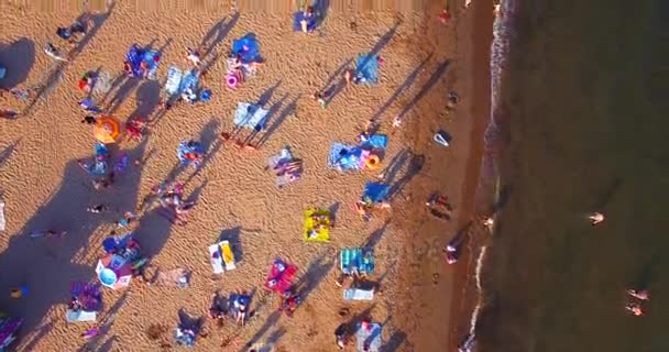 ロシアのウラジオストク 2017年8月21日 ウラジオストク近くの島の空中ビュー — ストック動画