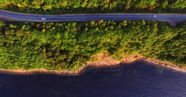 Wladiwostok Russland August 2017 Luftaufnahme Einer Insel Bei Wladiwostok — Stockvideo
