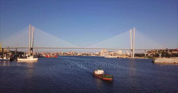 Zolotoy Bridge Puente Cable Que Cruza Bahía Zolotoy Rog Cuerno — Vídeos de Stock