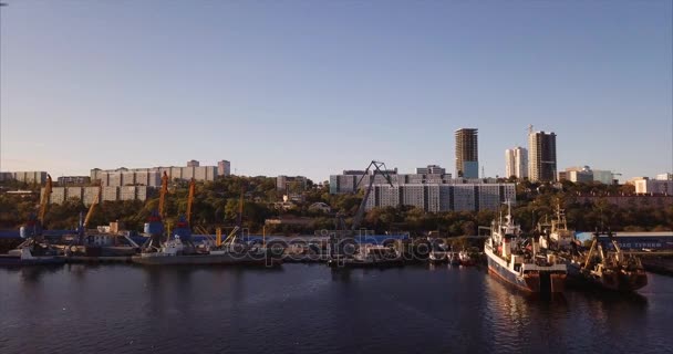 Vliegen Boven Golden Horn Haven Een Beschutte Hoorn Vormige Baai — Stockvideo