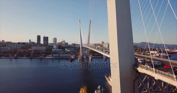 Vliegend Zolotoy Bridge Kabelbrug Golden Horn Baai Vanuit Lucht Zicht — Stockvideo