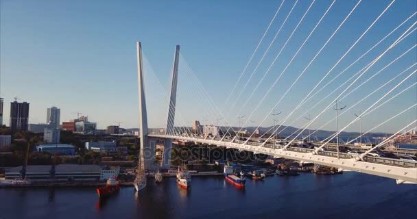 Aufsteigende Luftaufnahme Der Zolotoy Brücke Schrägseilbrücke Über Die Goldene Horn — Stockvideo