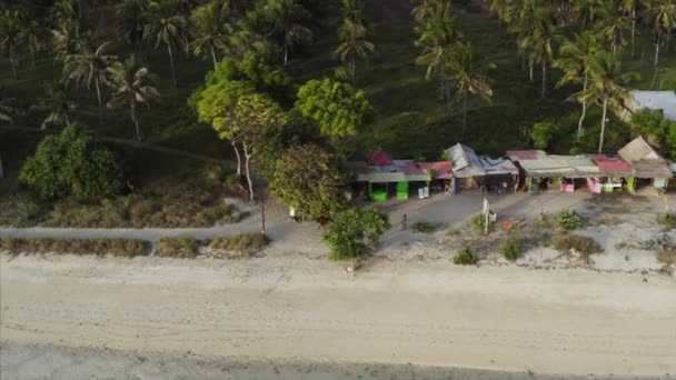 Aerial View Horse Drown Vehicle Driving Road Sandy Beach Tropical — 비디오