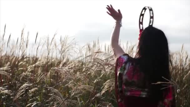 View Gipsy Woman Beautiful Dress Dancing Tambourine Field Blue Sky — Stock Video