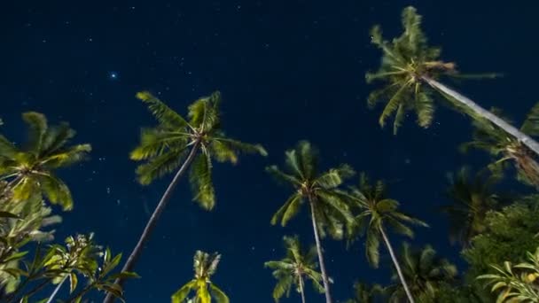 Zooming Timelapse Amazing Night Sky Million Stars View Tropical Palms — Αρχείο Βίντεο