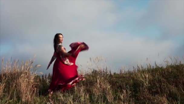 Uitzicht Zigeunervrouw Mooie Jurk Dansen Met Glimlach Het Veld Blauwe — Stockvideo