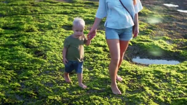 Kaukasische Mutter Und Ein Zweijähriger Junge Spazieren Bei Ebbe Auf — Stockvideo