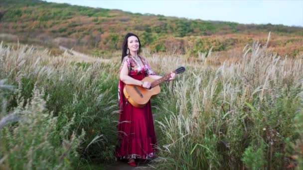 Piękna Cyganka Długiej Sukience Gra Gitarze Śpiewa Wśród Wysokiej Trawy — Wideo stockowe