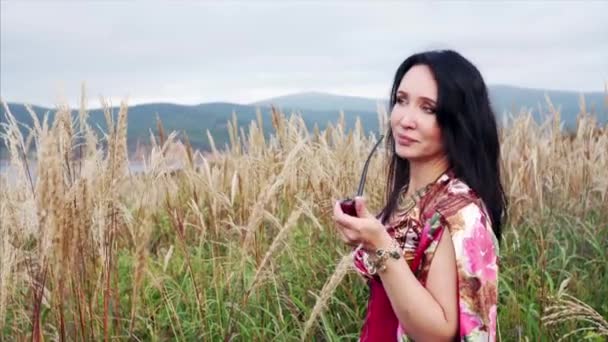 Attractive Gipsy Woman Colorful Dress Smoking Pipe Field High Grass — Stock Video