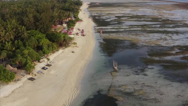 干潮時と緑のジャングルで海の近くの観光リゾートと緑のジャングルと砂浜の海岸線 エア島 インドネシア — ストック動画