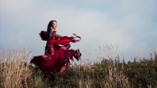Pohled Romské Ženy Krásných Šatech Tanec Úsměvem Poli Modré Obloze — Stock video